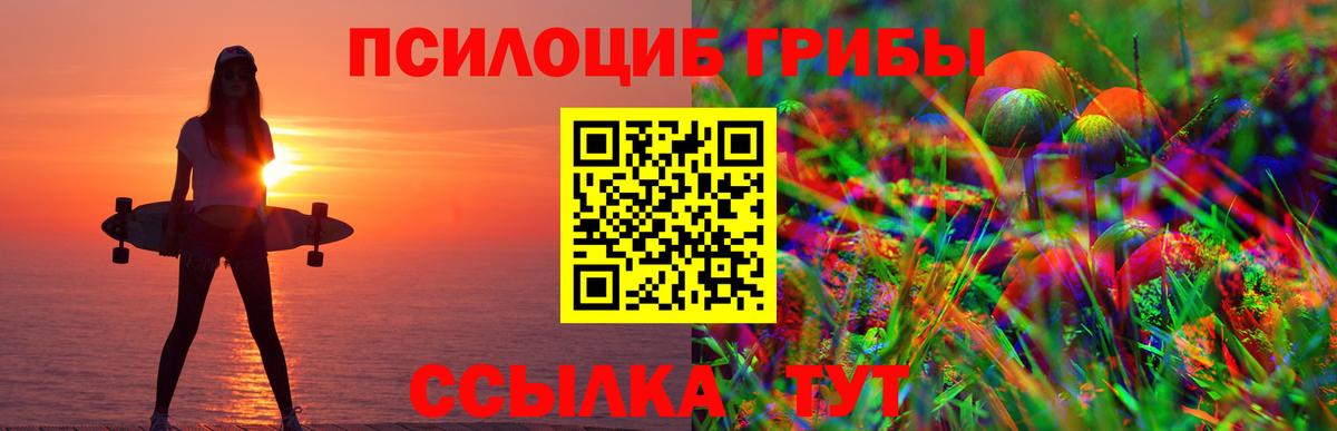 Долгопрудный  Галлюциногенные грибы Psilocybe  Вход с VPN 